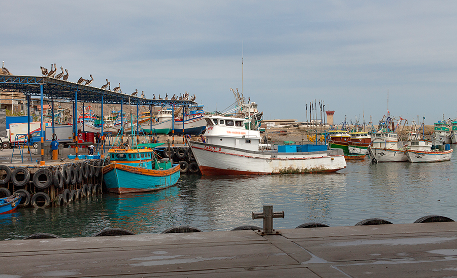 Embarcaciones de pesca artesanal en el puerto.